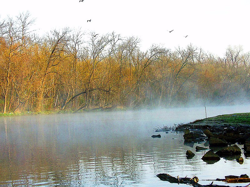 File:Morning Mist.jpg