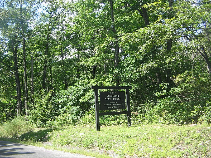 File:Moshannon State Forest Sign.jpg