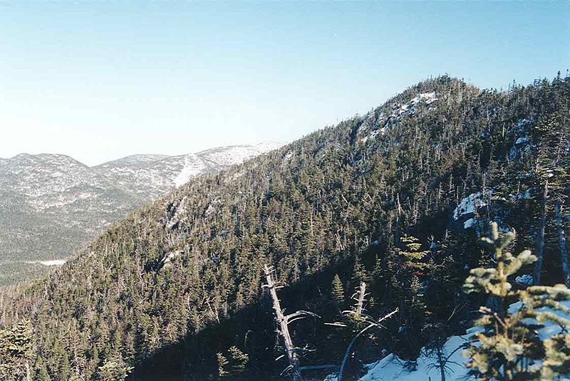 File:Mt Allen summit ridge NY.JPG