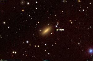 NGC 1271 SDSS.jpg