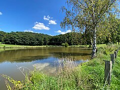 Naturnaher Teich in Papendell