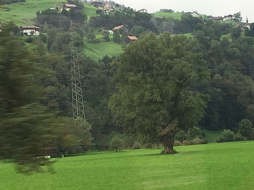 Natural View of Switzerland