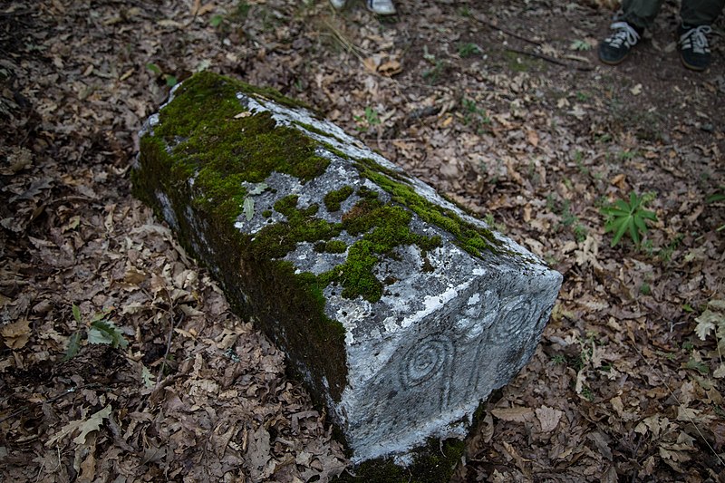 File:Nekropola sa stećcima Borak 31.jpg