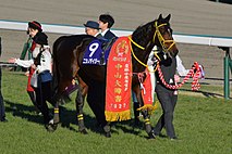 ニシノフラワー - Wikipedia