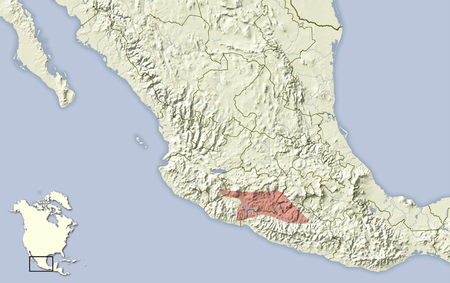 Notocitellus adocetus distribution map.png