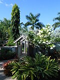 Thumbnail for Naples Botanical Garden