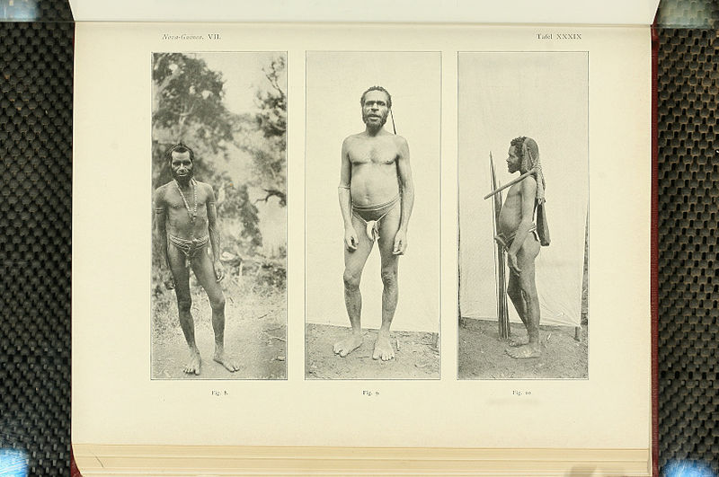 File:Nova Guinea - Vol 7 - Ethnographie - 1913 - Tafel 39.jpg