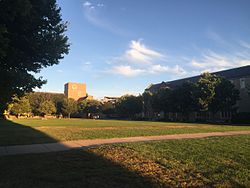 O'Shaughnessy Hall, the home of the College of Arts and Letters O shag and quad.jpeg