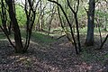 Wall/Grabenanlage Rönhagener Heide