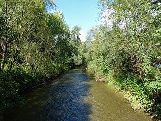 The Olsa near Wildbad Einöd.