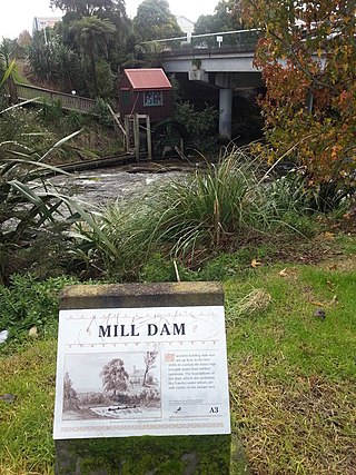 <span class="mw-page-title-main">Opanuku Stream</span> River in New Zealand
