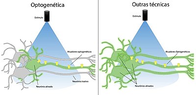 vantagens