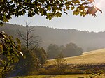 Naturschutzgebiet Orlebachtal