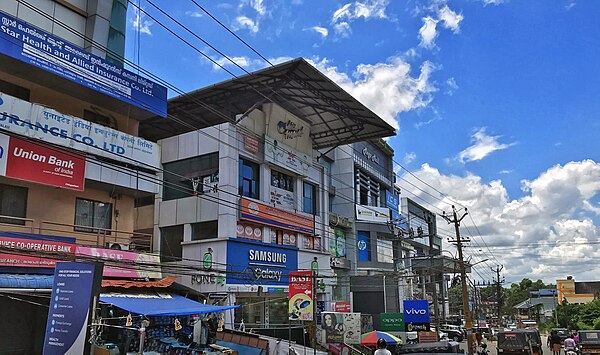 Ottapalam town area