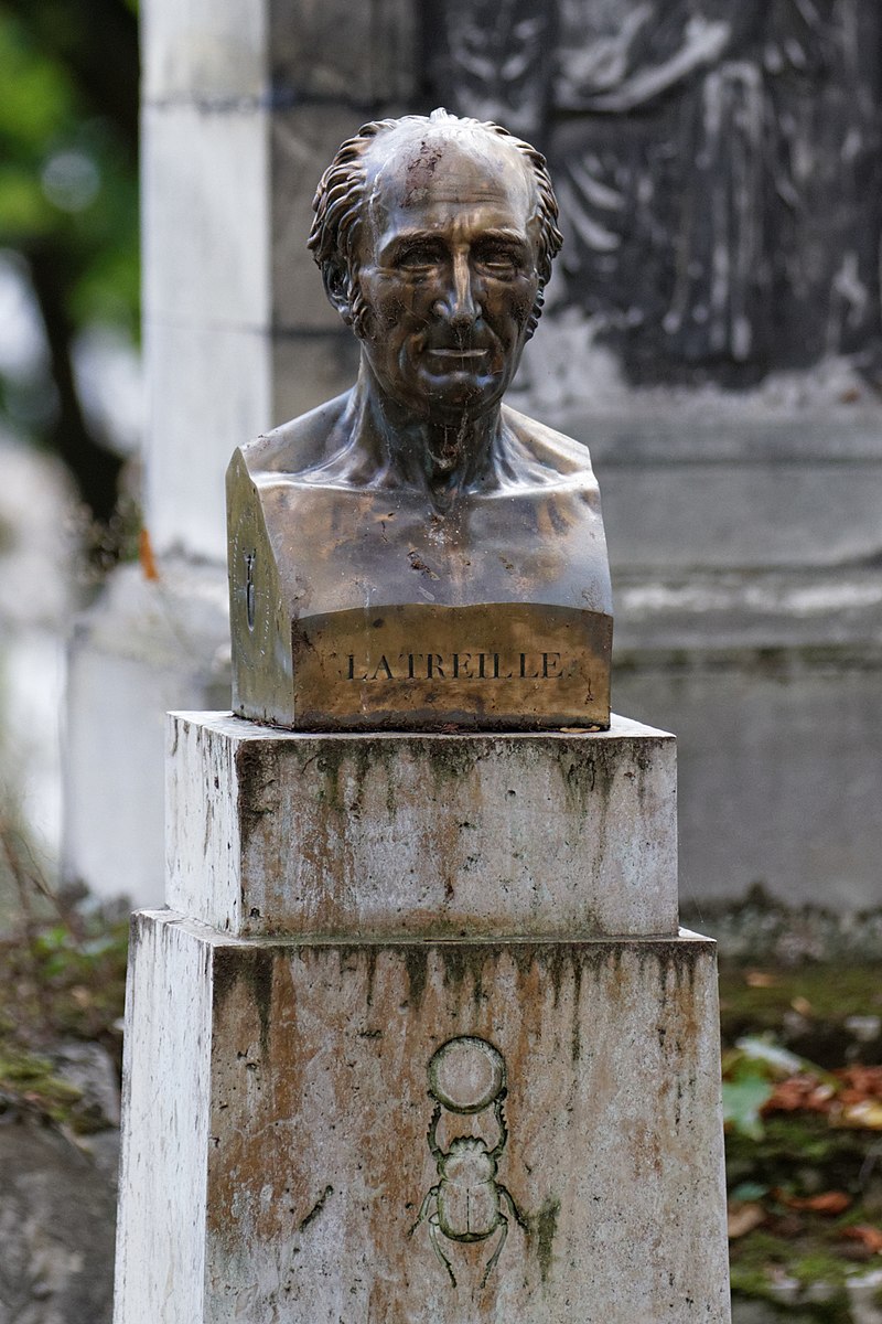 File:Pfaffenhoffen pierre tombale cimetiere rue des tanneurs24.jpg -  Wikimedia Commons