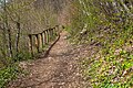 * Nomination Eastern part of the forest hiking trail Gloriettenweg in Leonstein, Pörtschach, Carinthia, Austria -- Johann Jaritz 02:28, 23 April 2023 (UTC) * Promotion  Support Good quality. --XRay 02:59, 23 April 2023 (UTC)