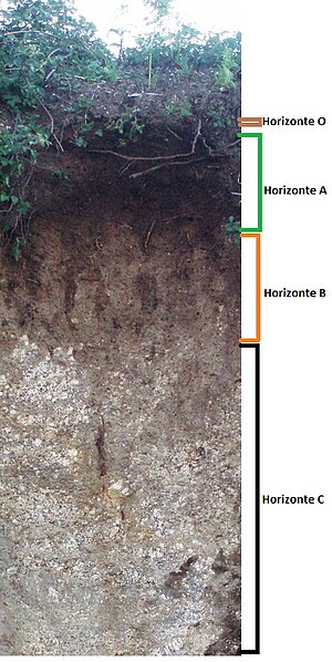 Solo: Descrição, Pedogênese, Processos gerais de formação do solo