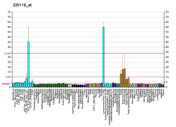 PBB GE ZBTB32 220118 at fs.png