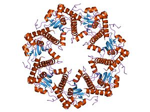 PDB 2f6i EBI.jpg