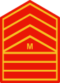 Master sargeant insignia Philippine Marine Corps