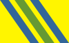 Vlag van Zielona Góra