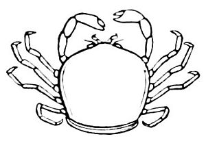 PSM V08 D692 Oyster crab.jpg