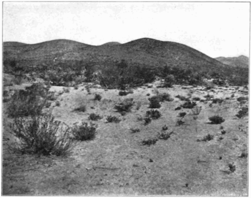 PSM V75 D452 Desert landscape in zacatecas.png