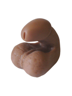 Packing (phallus) wearing padding or a phallic object to give the appearance of having a penis