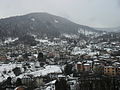 Panorama invernale del paese