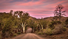 Parachilna darasi, Flinders tizmalari - Janubiy Avstraliya.jpg
