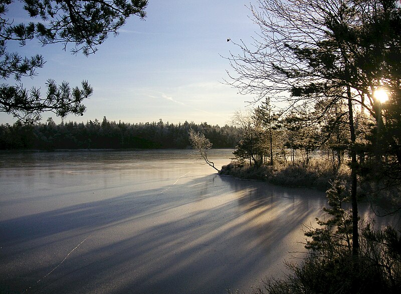 File:Paradisets naturreservat, dec 2007b.jpg