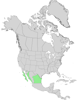 Distribución nátiva en Norte y Centroamérica