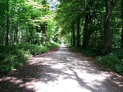 Bois de Vincennes