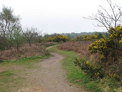 How to get to Kelling Heath with public transport- About the place