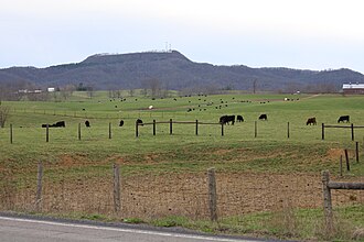 Cattle farm in Pickaway in 2022 Pickaway WV 2022b.jpg