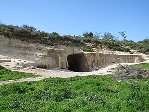 דוד: הסיפור המקראי, דמותו, אהבת דוד ויהונתן