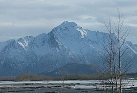 Pionira Pinto, Alaska.jpg