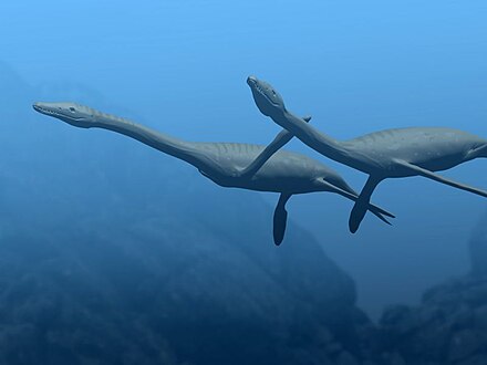 Плезиозавр. Plesiosaurus dolichodeirus. Несси Плиозавр. Плезиозавры Атучин. Плезиозавры (род).