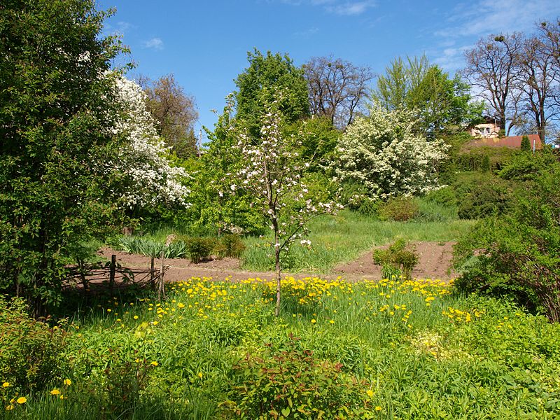 File:Poltava Botanical garden (110).jpg