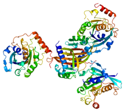 חלבון NUTF2 PDB 1a2k.png