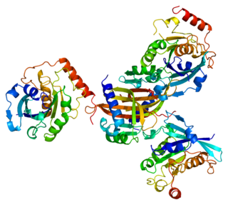 <span class="mw-page-title-main">NUTF2</span> Protein-coding gene in the species Homo sapiens