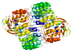 Ақуыз RNH1 PDB 1a4y.png