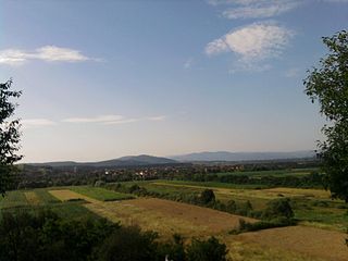 <span class="mw-page-title-main">Sebiș</span> Town in Arad, Romania