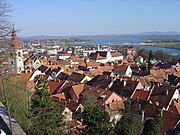 Ptuj from the castle