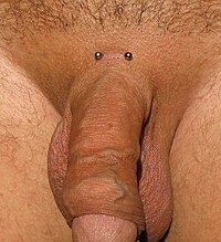 Pubic piercing