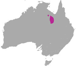 Purple-necked Rock Wallaby area.png