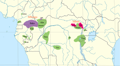 Modification by Hewlett and Fancher. Bofi is added in the west, and Nsua in the east. Pygmy peoples (Hewlett & Fancher).png