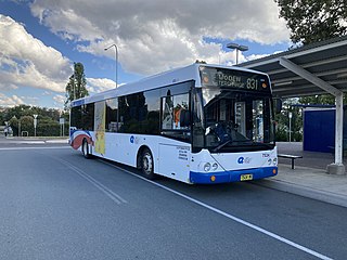 Qcity Transit