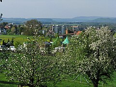 Rümlang: Wappen, Bevölkerung, Politik