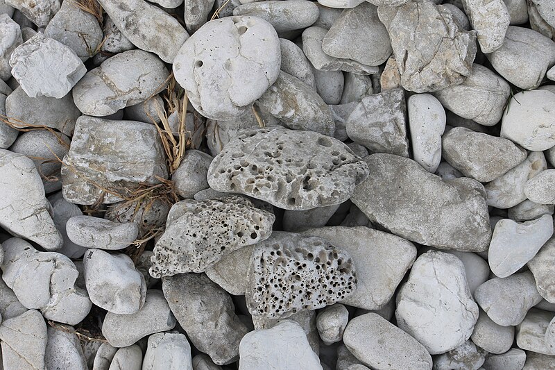 File:R-2015-01-13-10363-Kaikoura beach walk.jpg